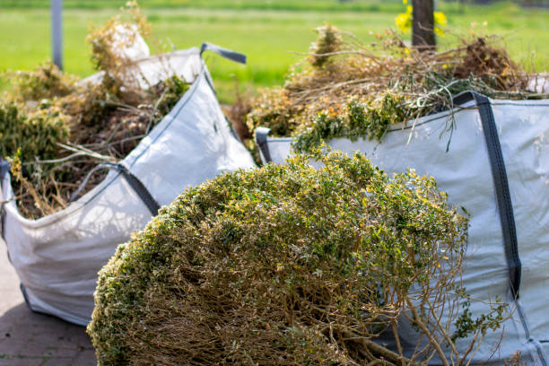 Best Hoarding Cleanup  in Cedville, AR