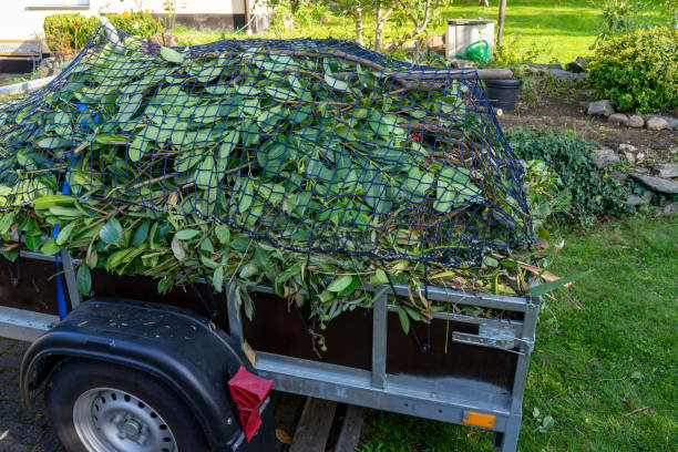 Best Same-Day Junk Removal Services  in Cedville, AR